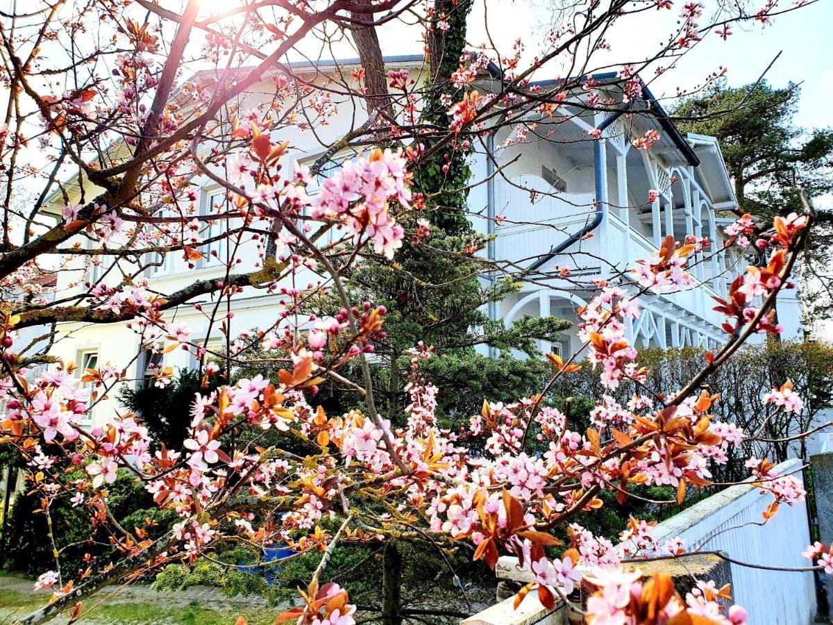 Villa Asta بينز المظهر الخارجي الصورة